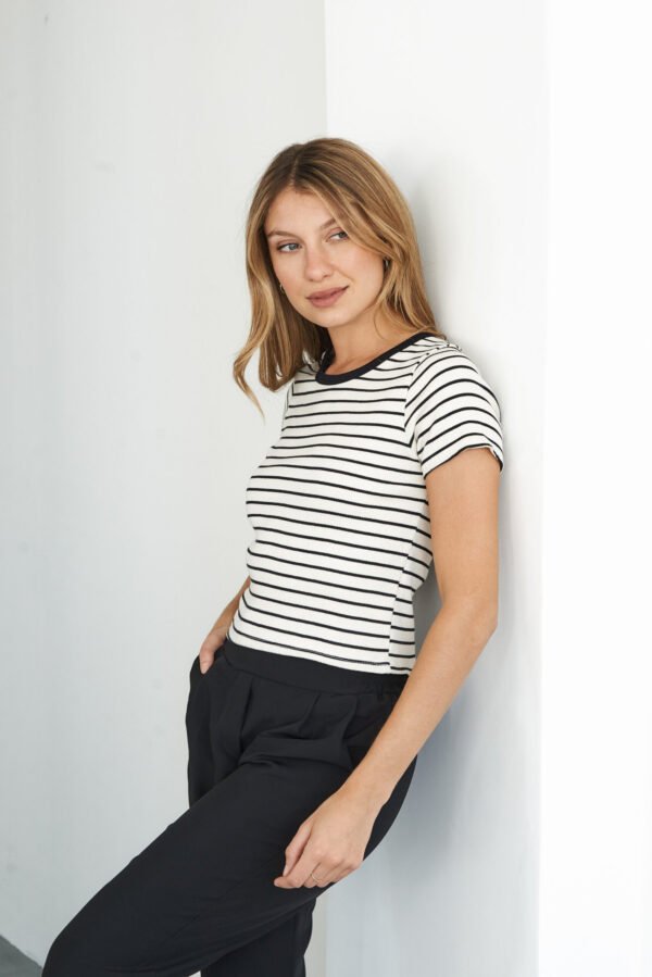 REMERA MORLEY RAYADA MC